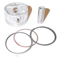 PISTÃO C/ ANÉIS FAN125 09 1,00