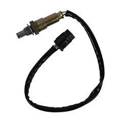 SENSOR OXIGÊNIO BURGMAN I 12-18